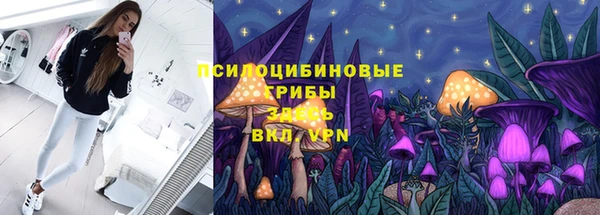 шишки Балахна