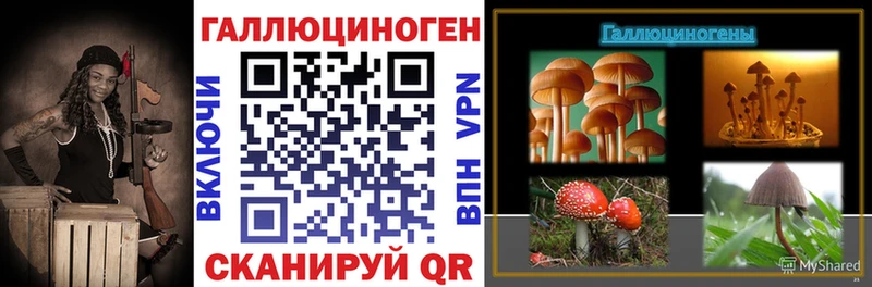 где найти наркотики  Великие Луки  Галлюциногенные грибы Psilocybe 